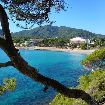 Sureda * Canyamel (Mallorca)